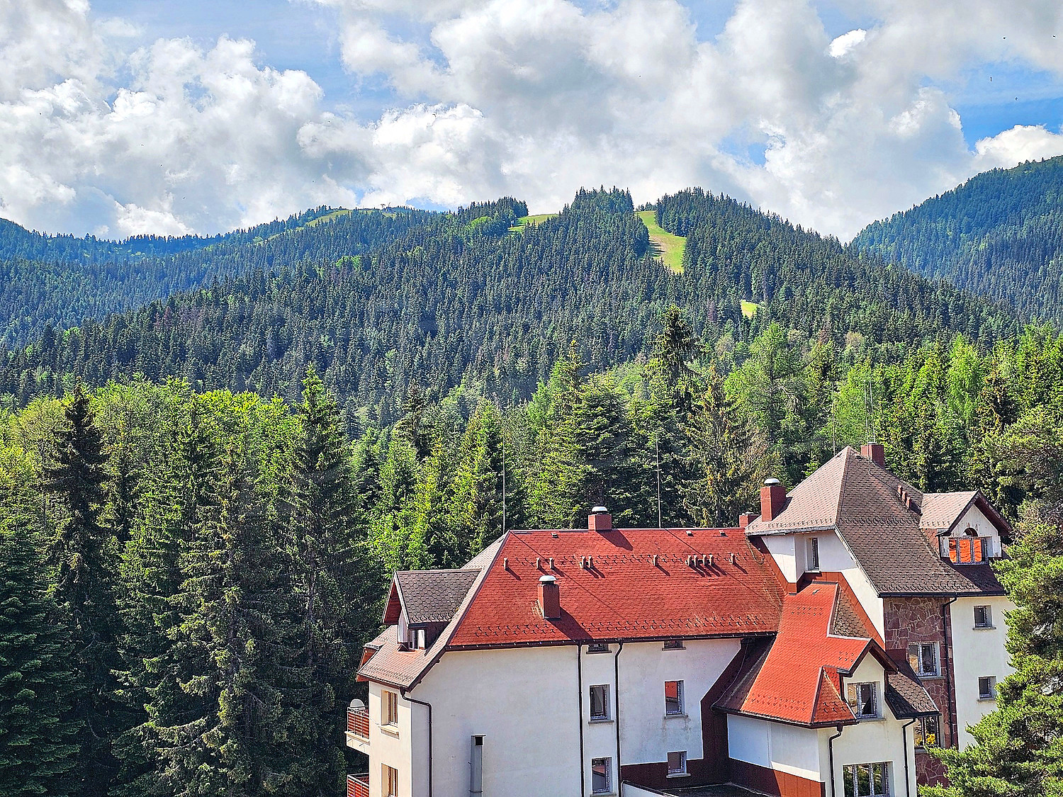 outside, mountain, green area, facade
