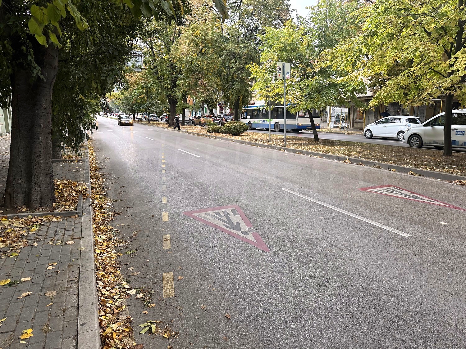 outside, green area
