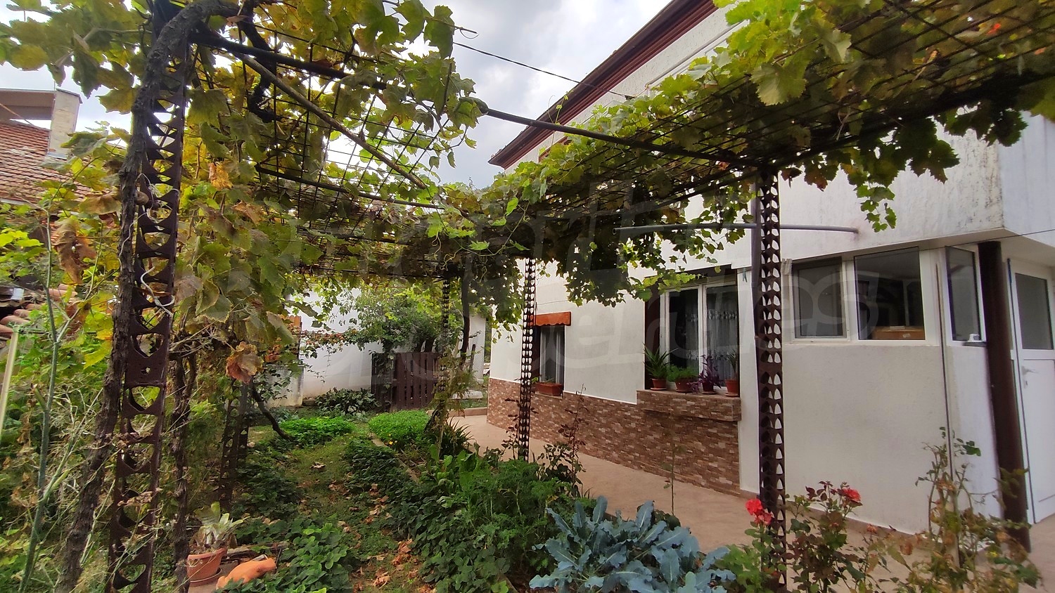 outside, garden