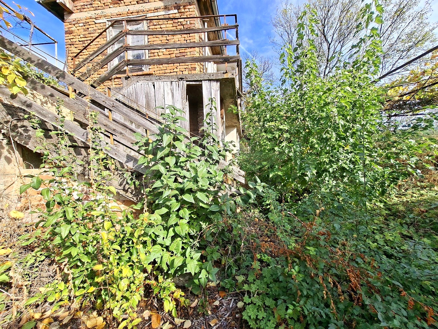 outside, facade, garden, green area