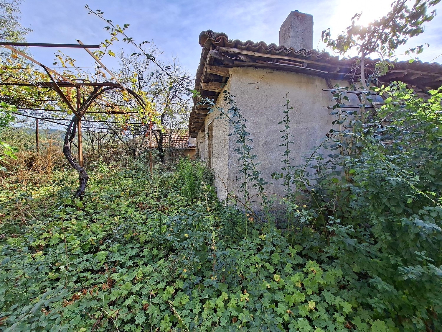 outside, facade, garden, green area