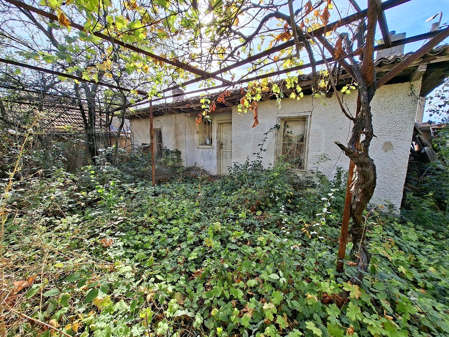 outside, garden, facade