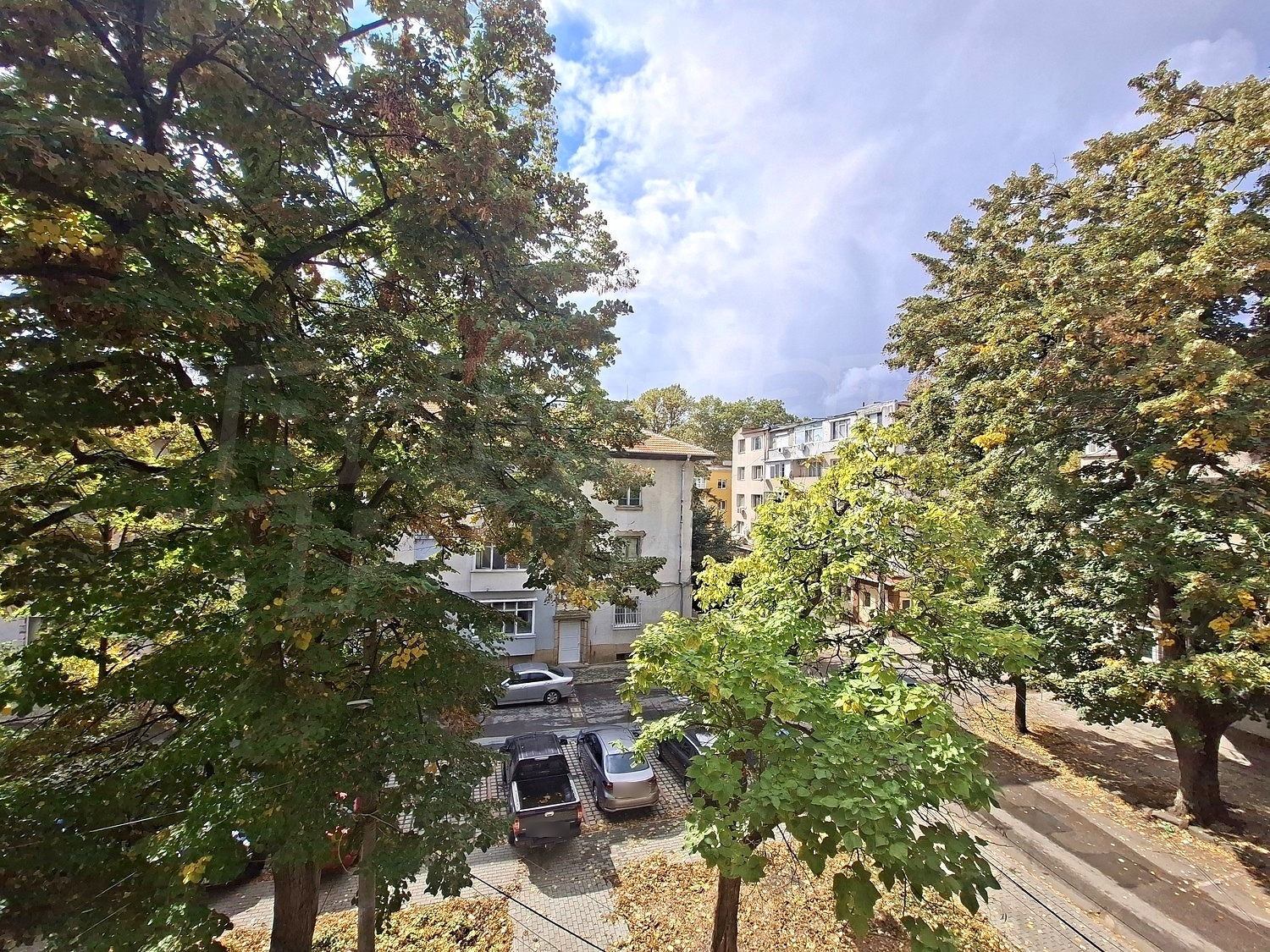 outside, green area
