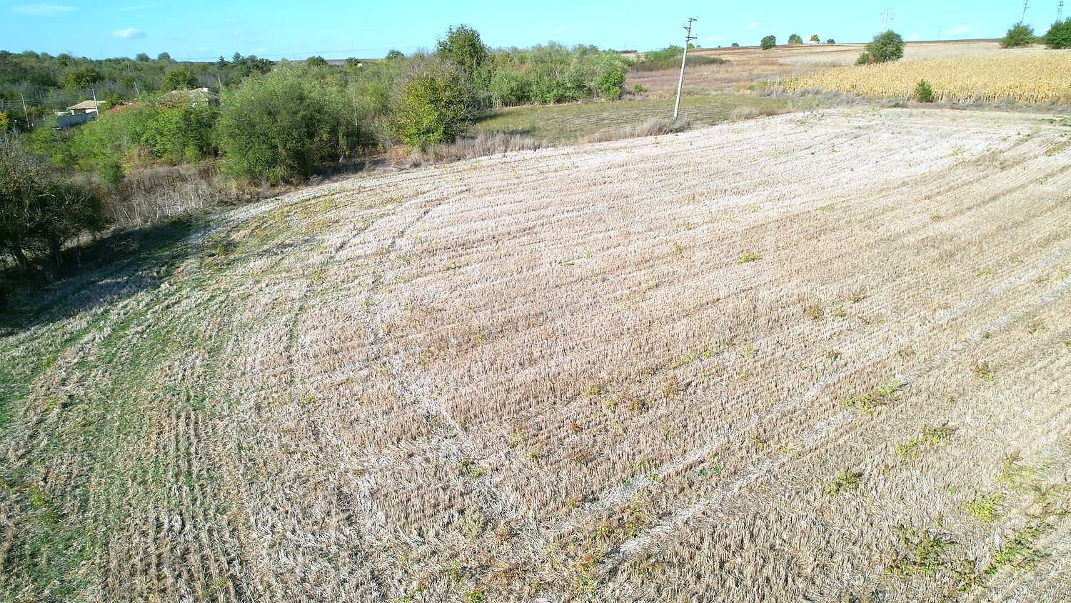 outside, green area