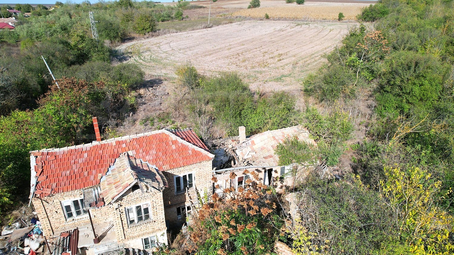outside, facade, garden, green area