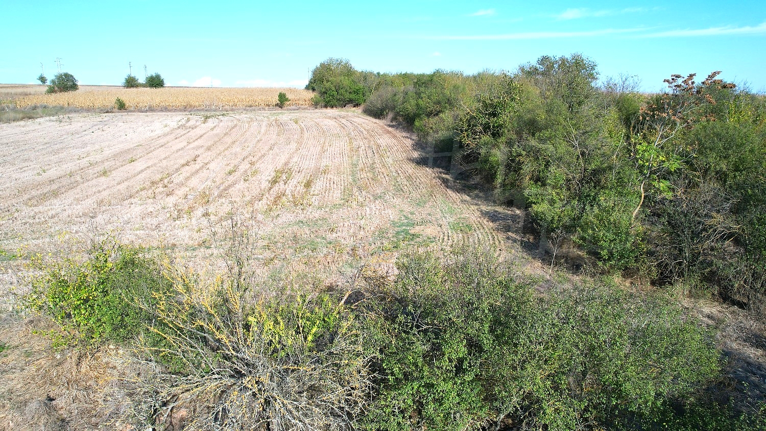 outside, green area