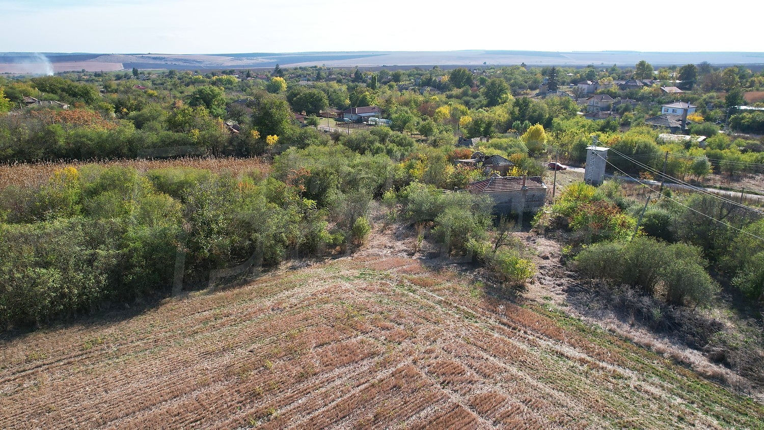 outside, green area