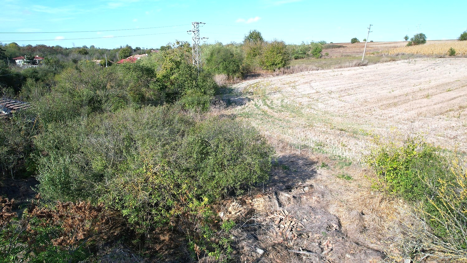 outside, green area