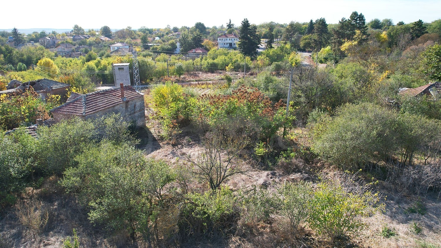 outside, garden, green area
