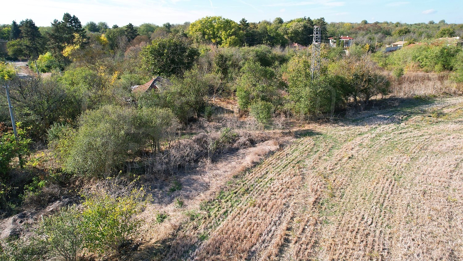 outside, green area