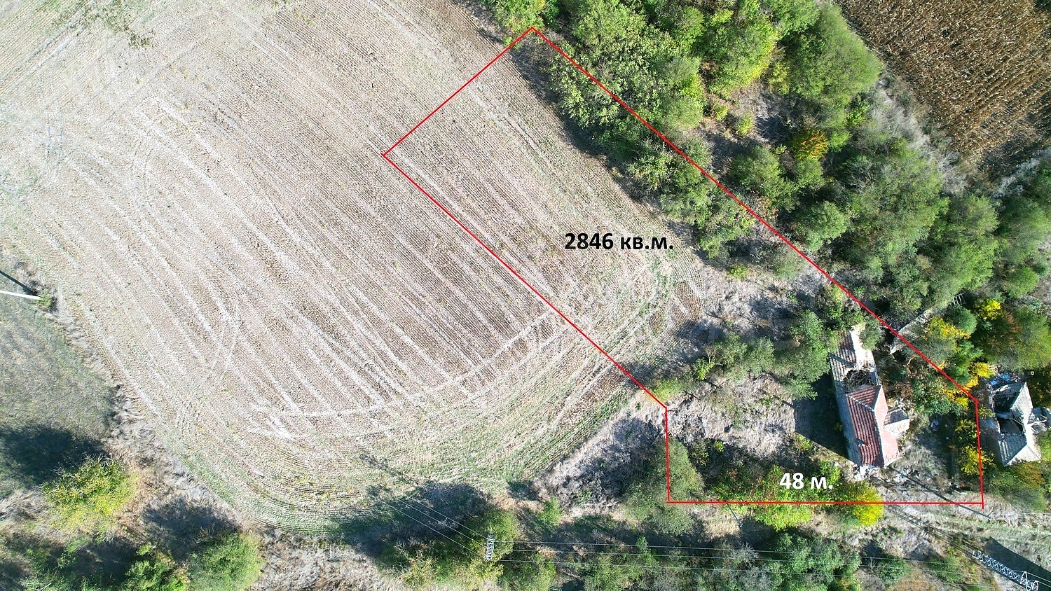 outside, document, green area
