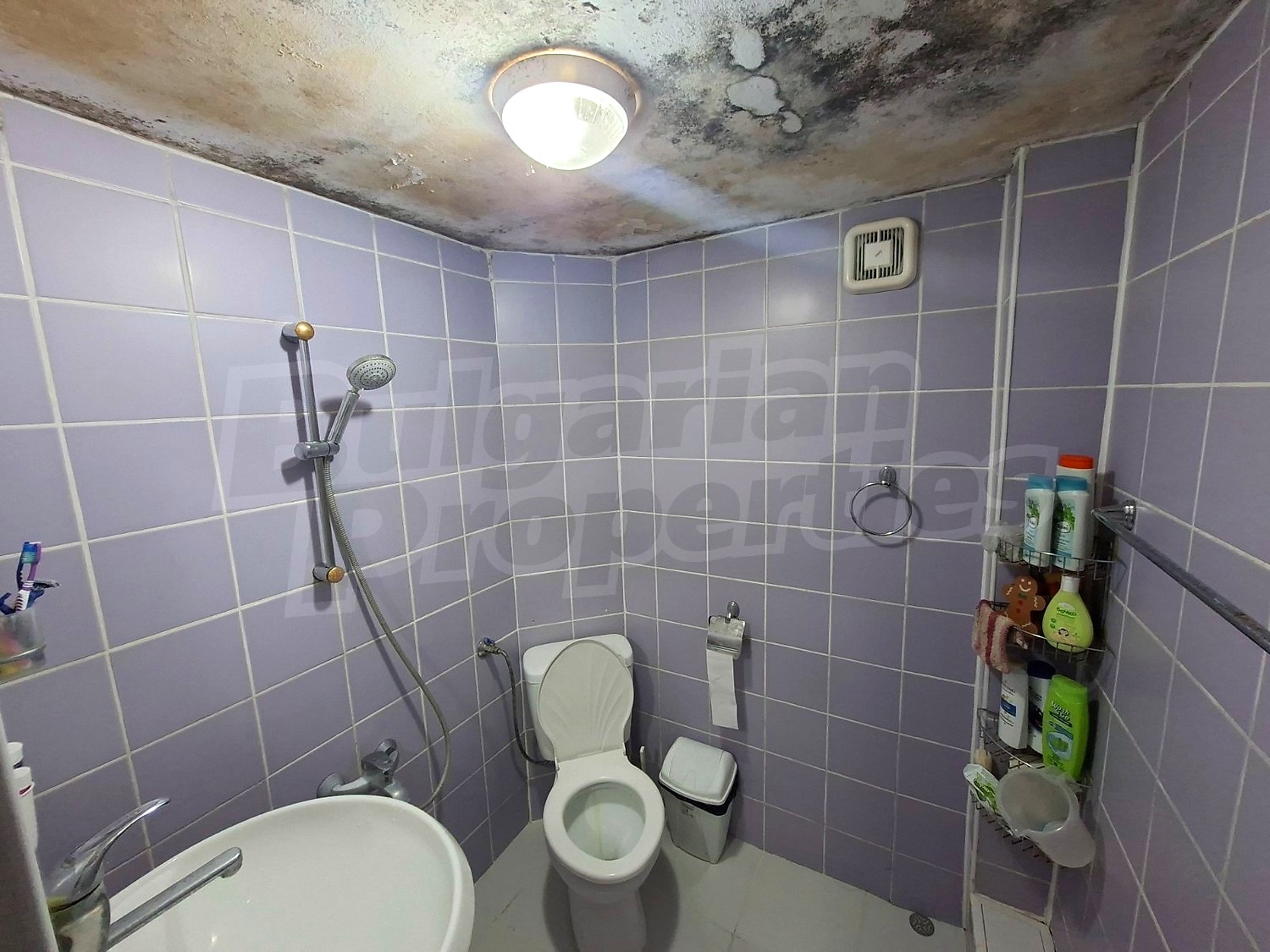 inside, bathroom, toilet