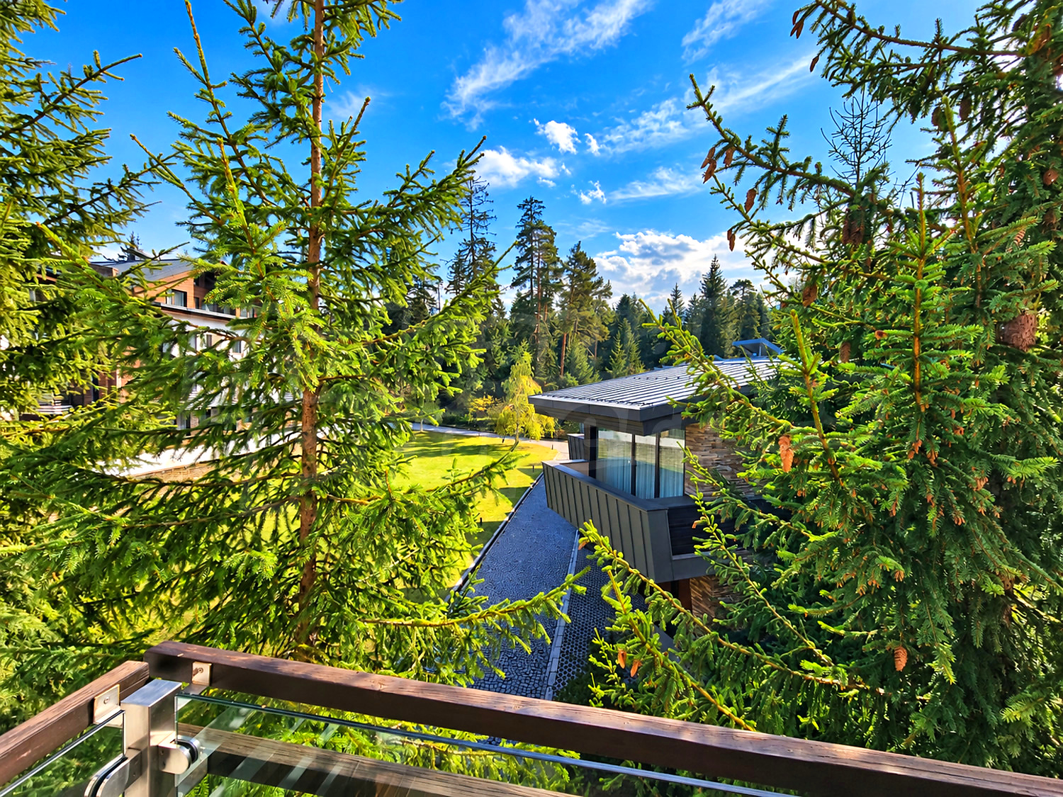 balcony, view from balcony, outside, garden, green area