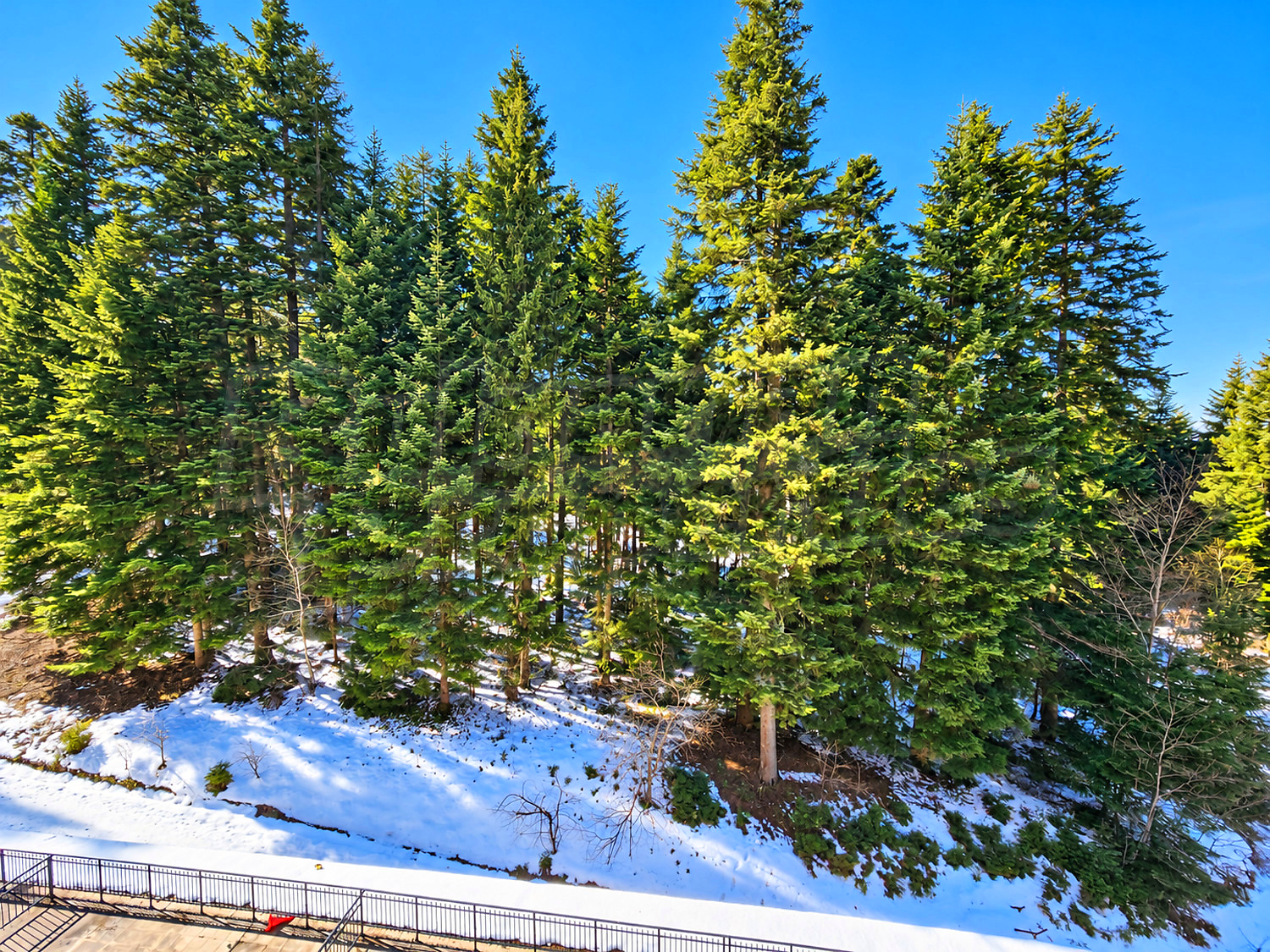 outside, mountain, green area