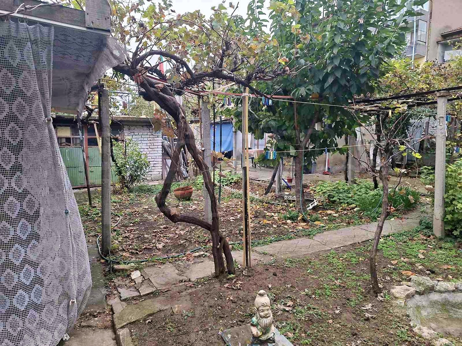 garden, outside