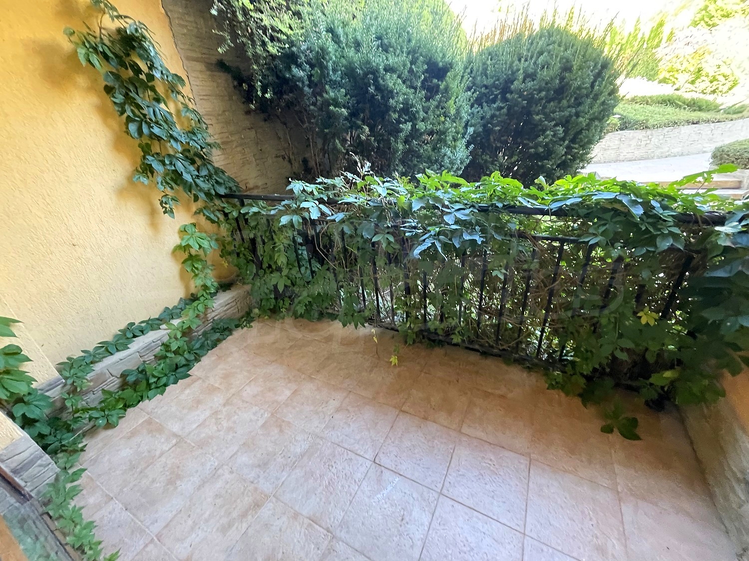 balcony, garden, outside