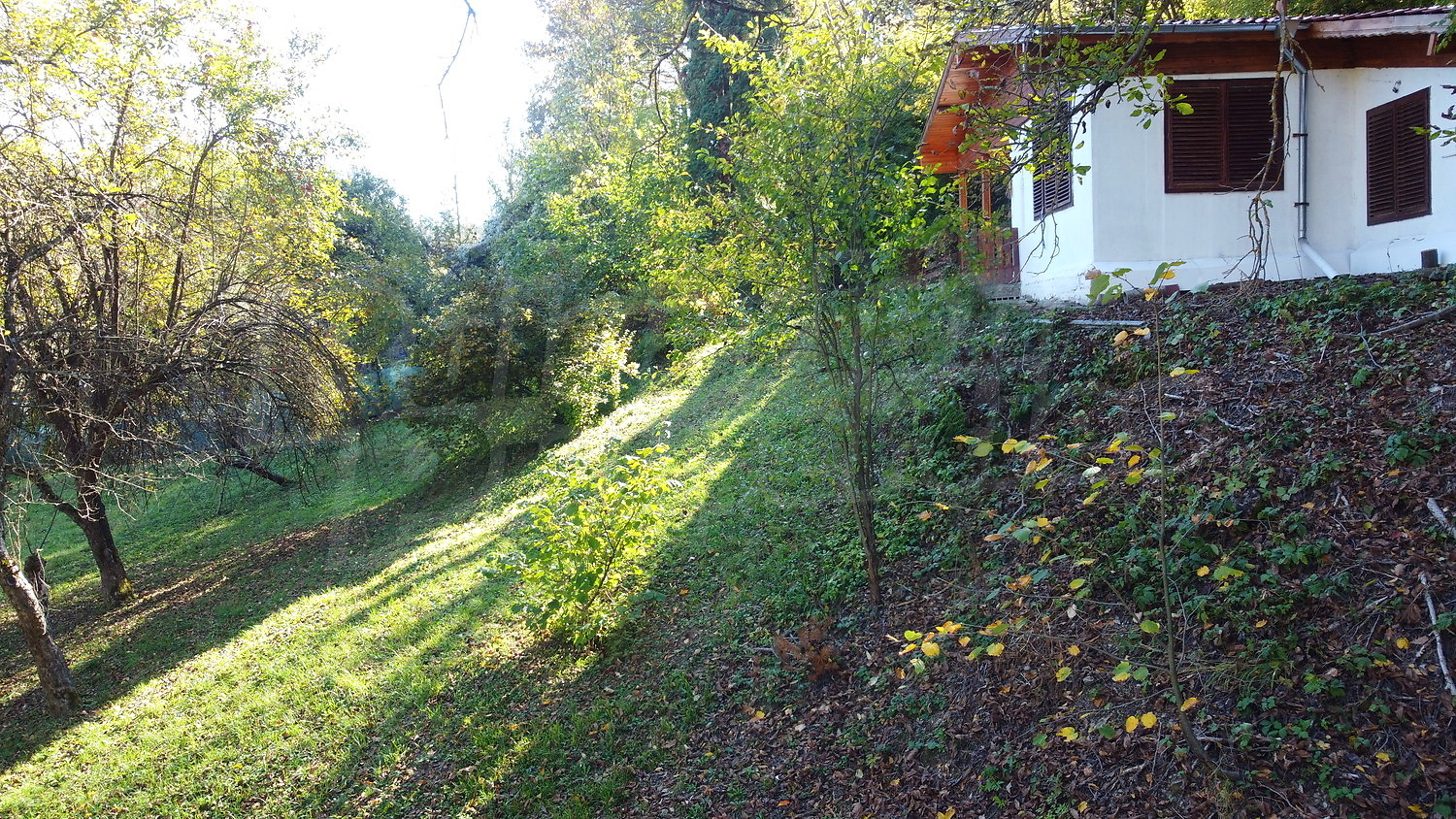 outside, garden, green area