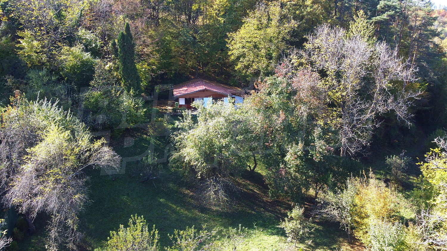 outside, green area, facade