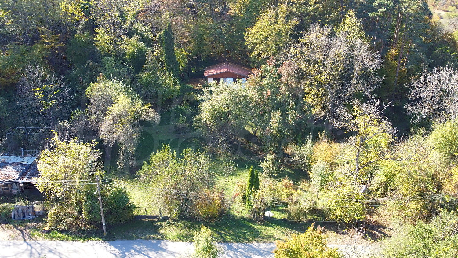 outside, garden, green area