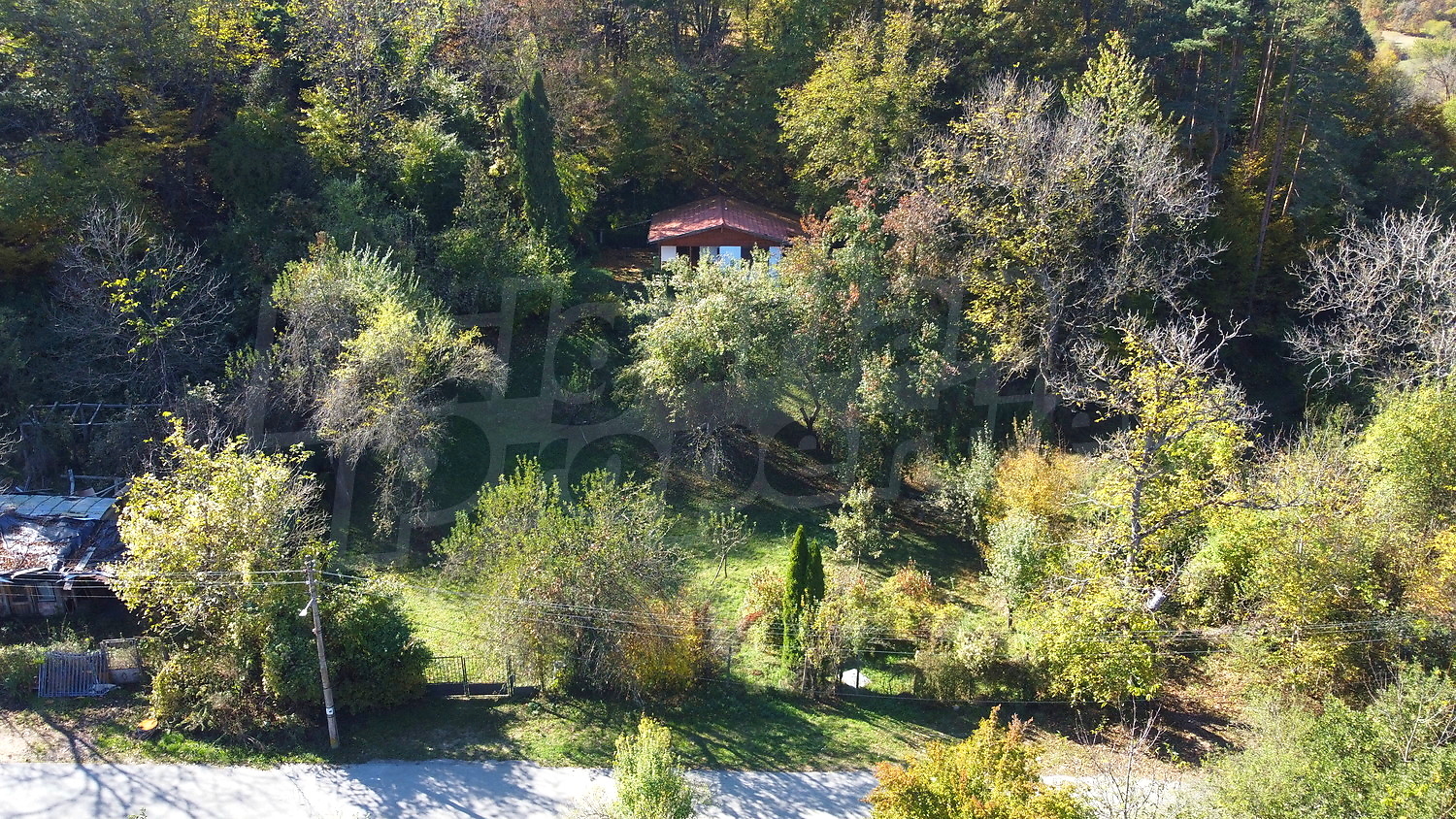 outside, garden, green area