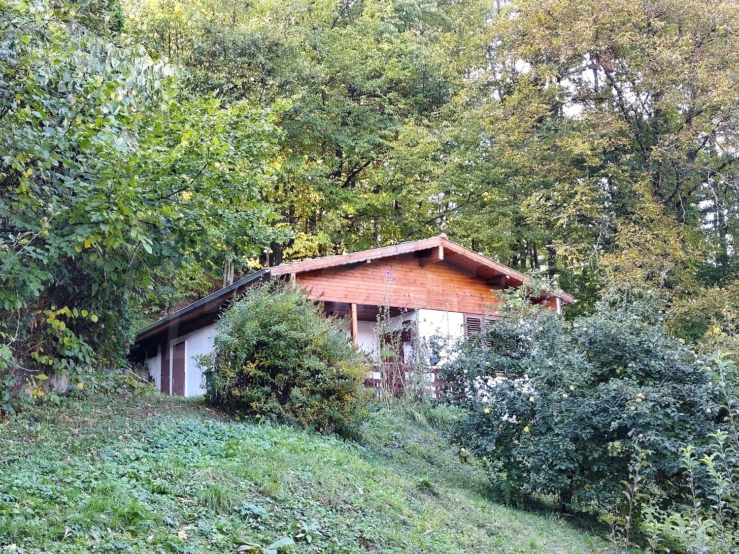 outside, facade, green area
