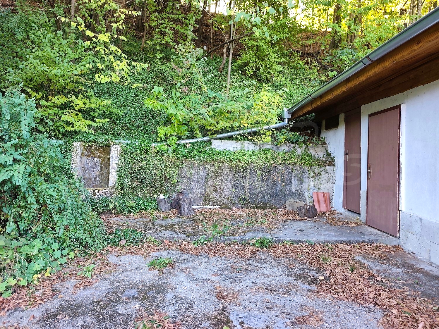 outside, garden, green area