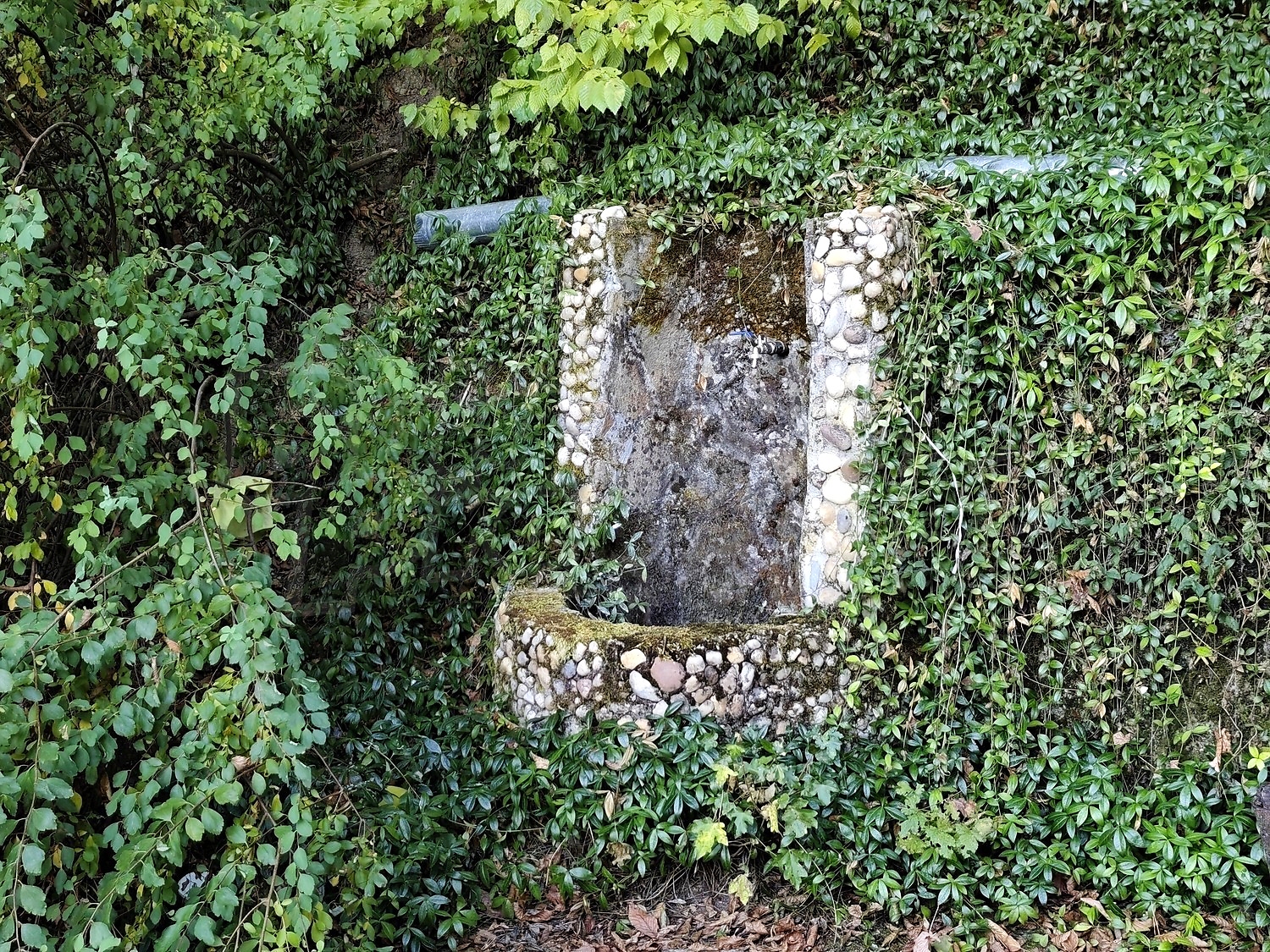 outside, garden, green area