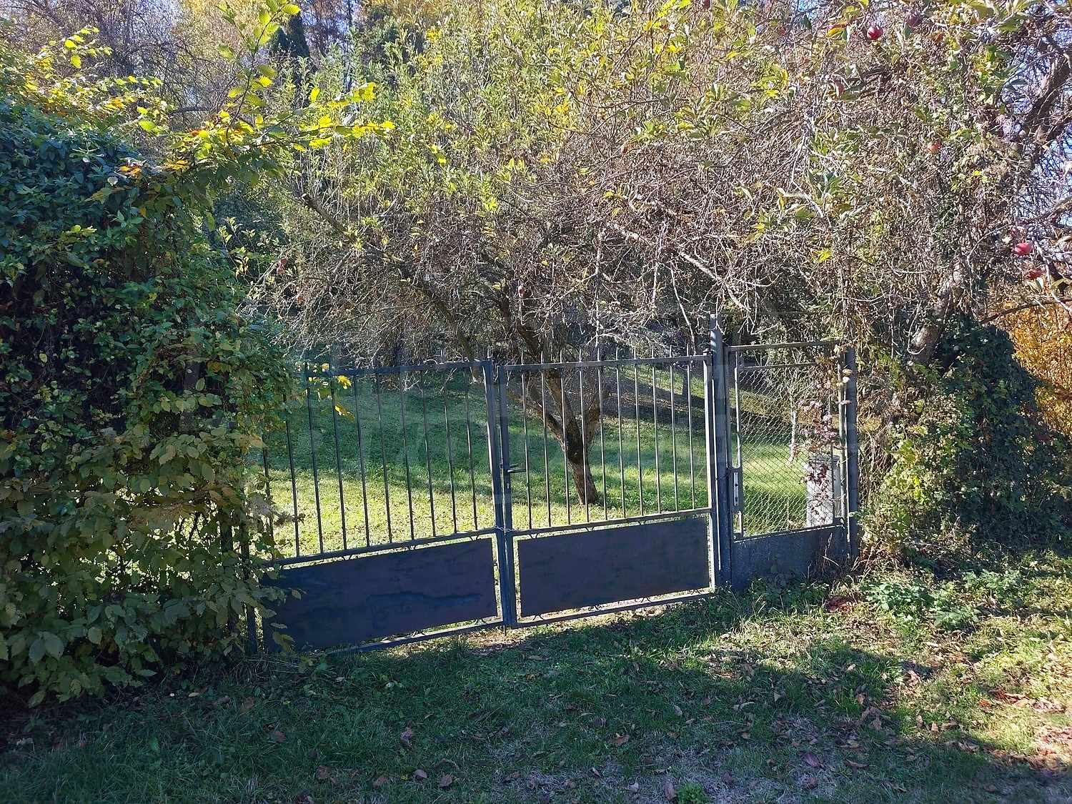 outside, garden, green area