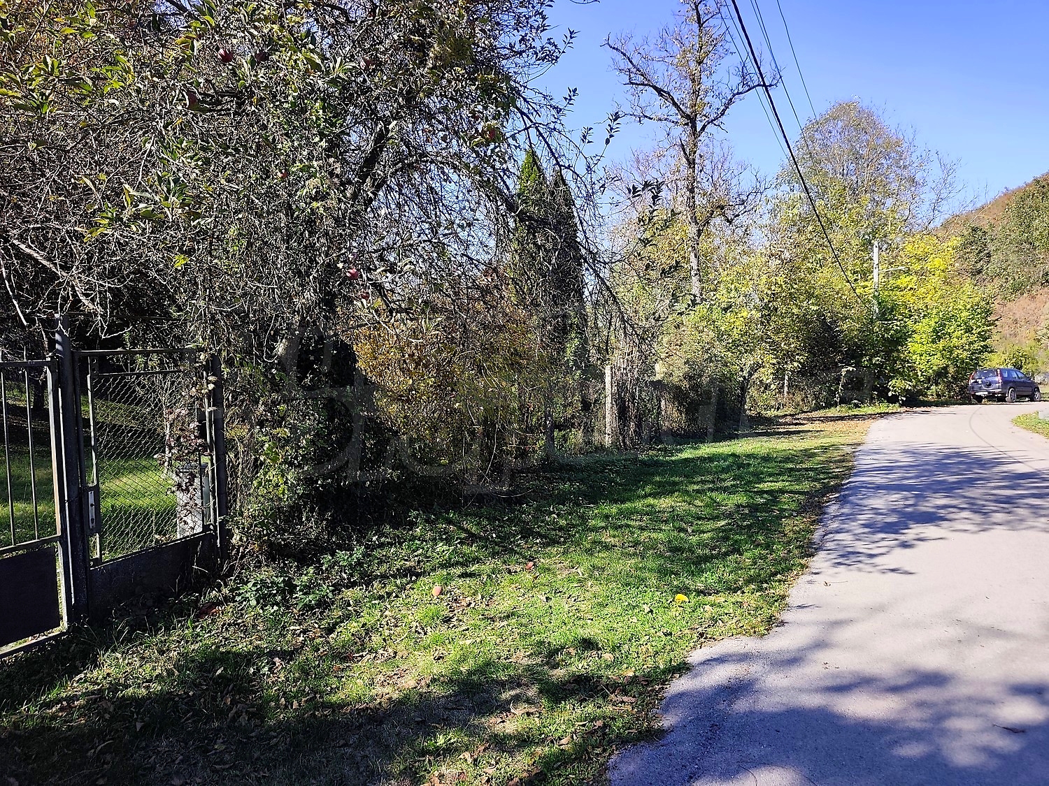 outside, green area