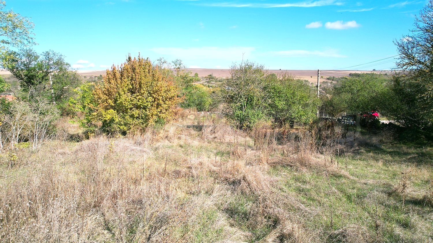 outside, green area, garden