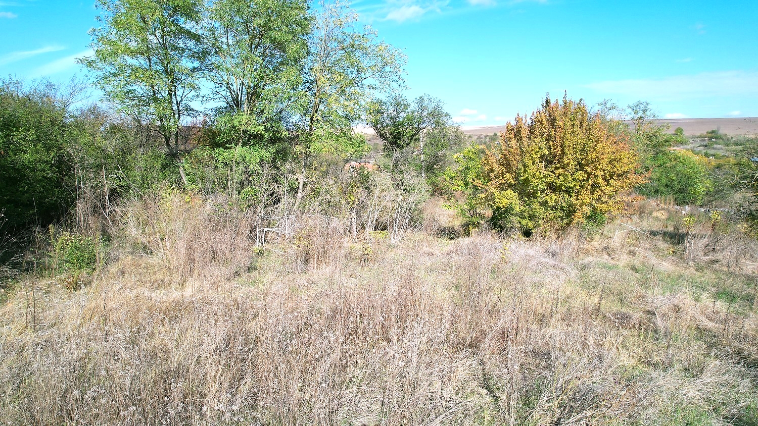 outside, green area