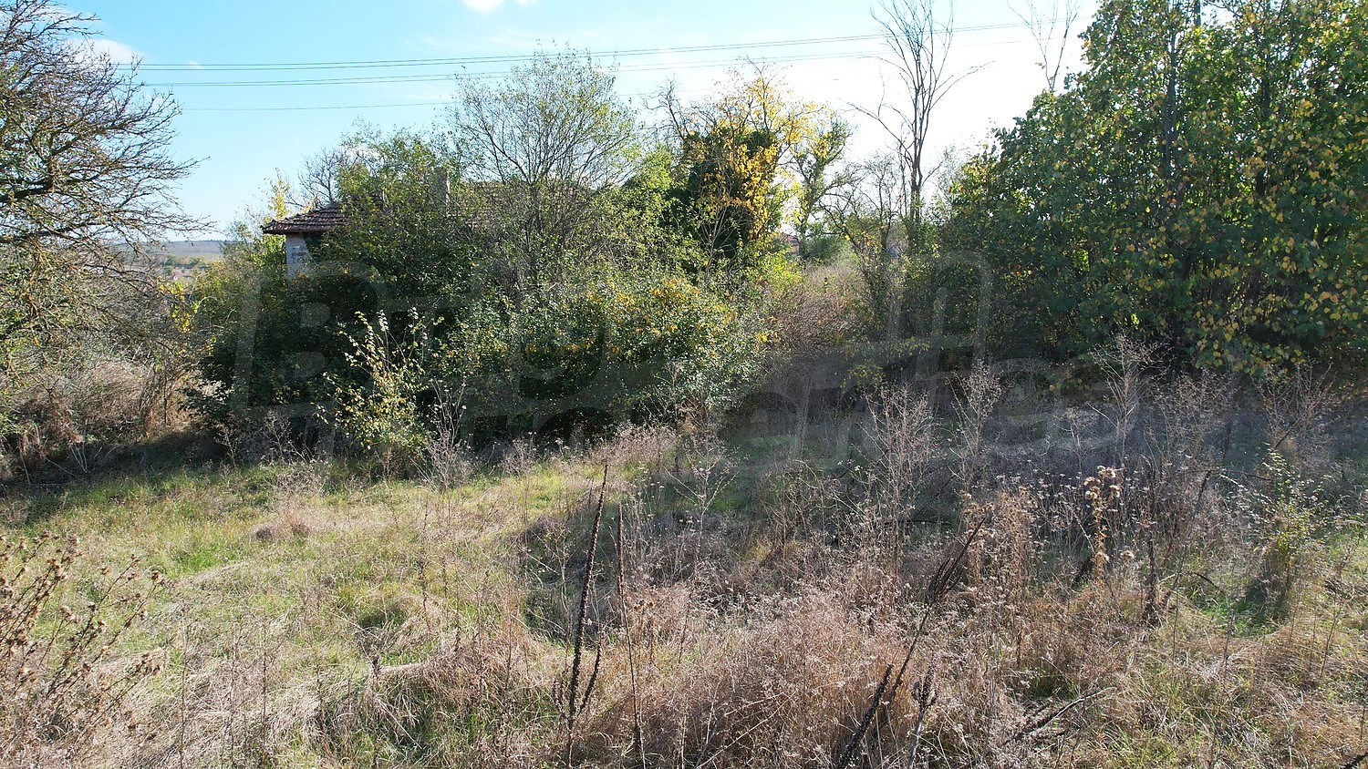 outside, garden, green area