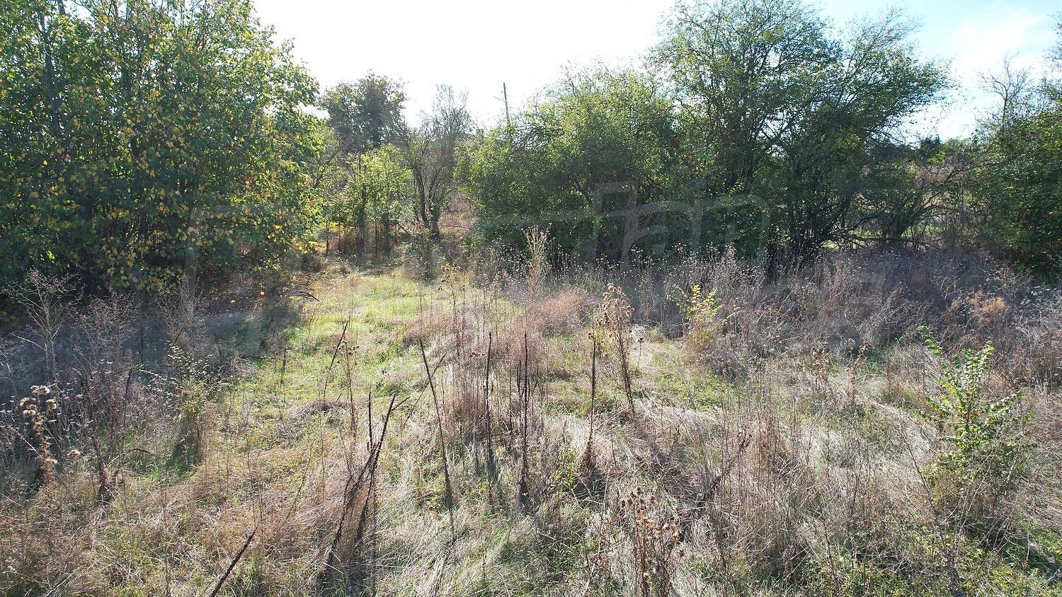 outside, green area