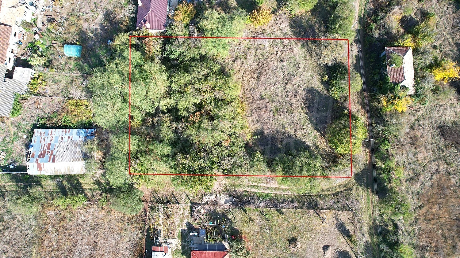 outside, green area