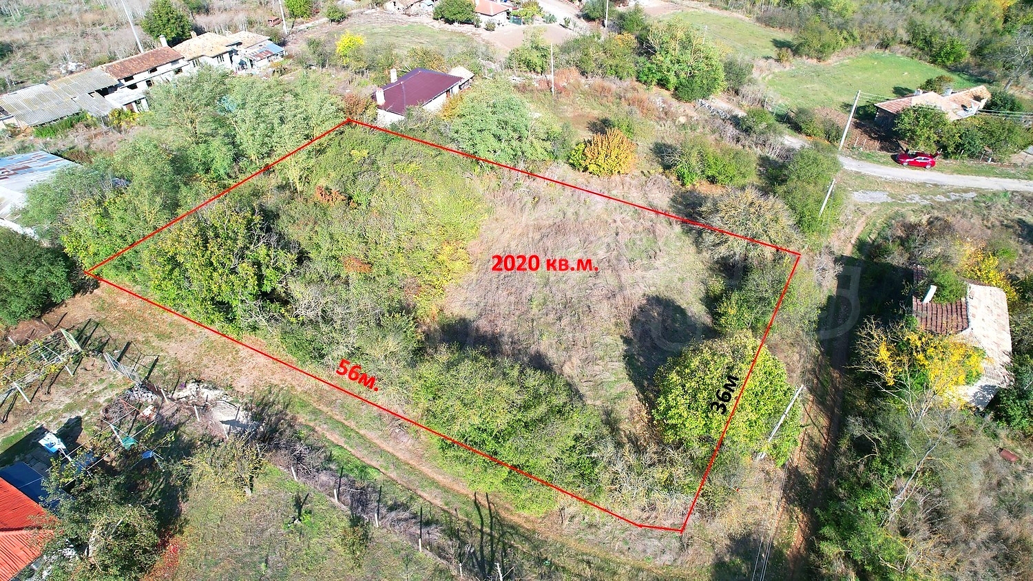 outside, green area