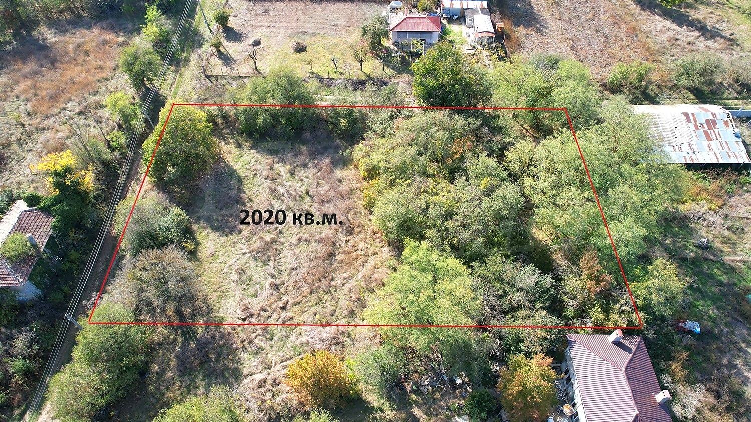 outside, green area