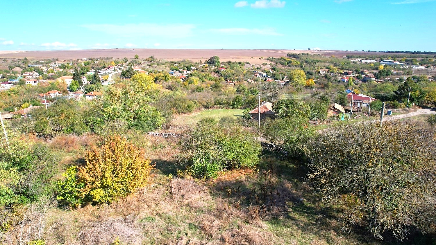 outside, green area