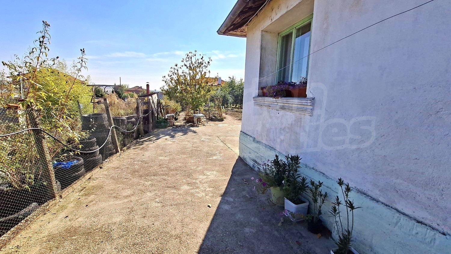 outside, garden