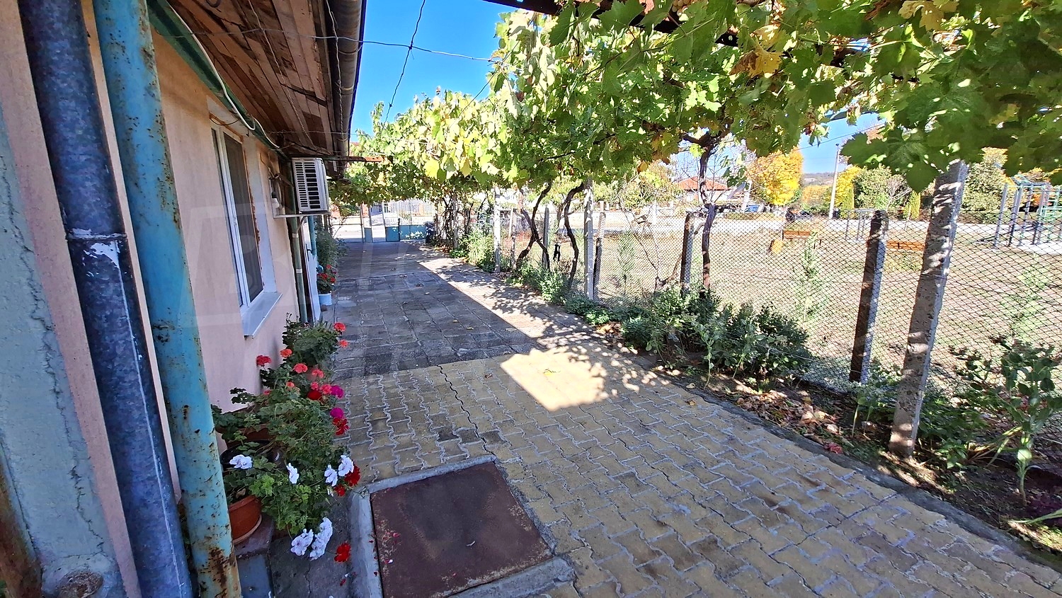 outside, garden