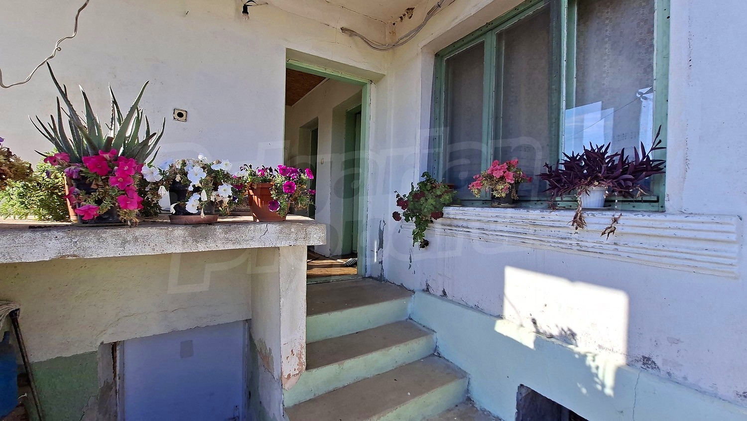 outside, facade, garden