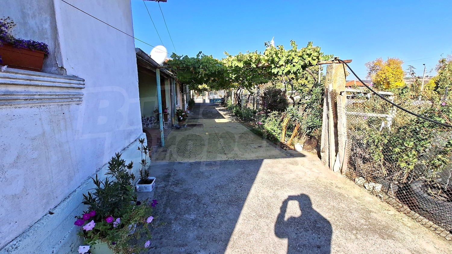 outside, garden