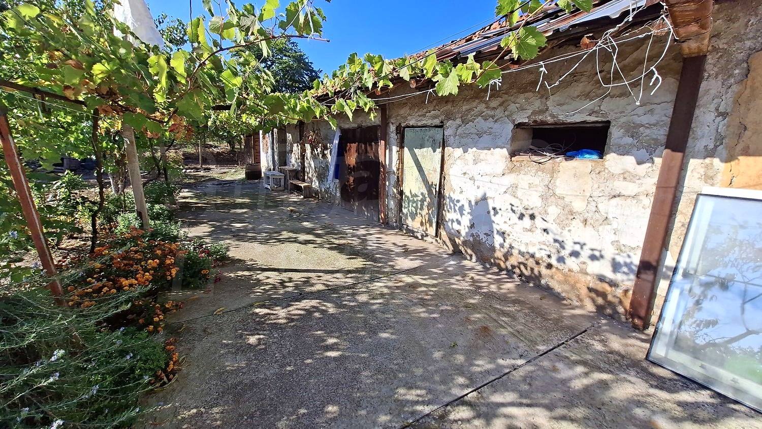 outside, garden