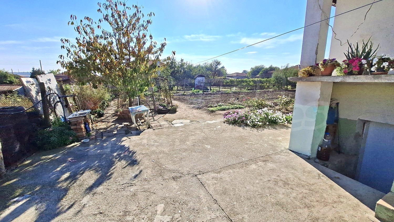 outside, garden
