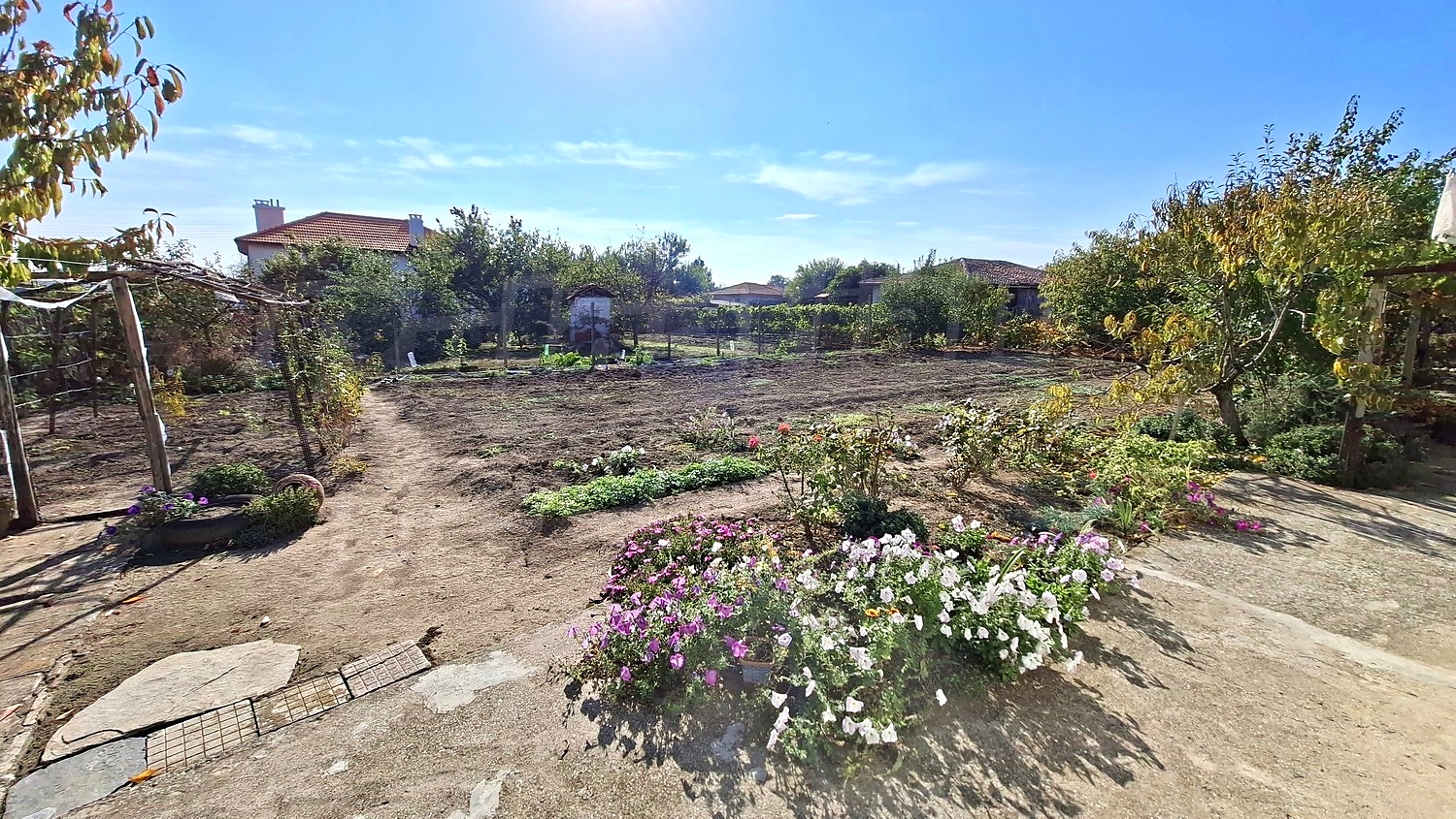 outside, garden, green area