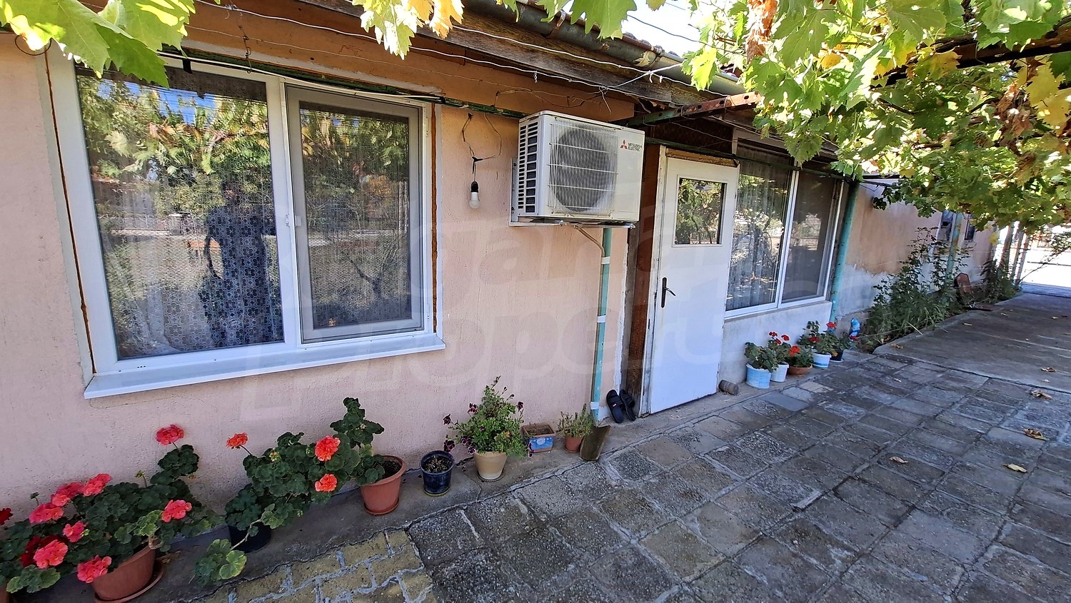 outside, garden
