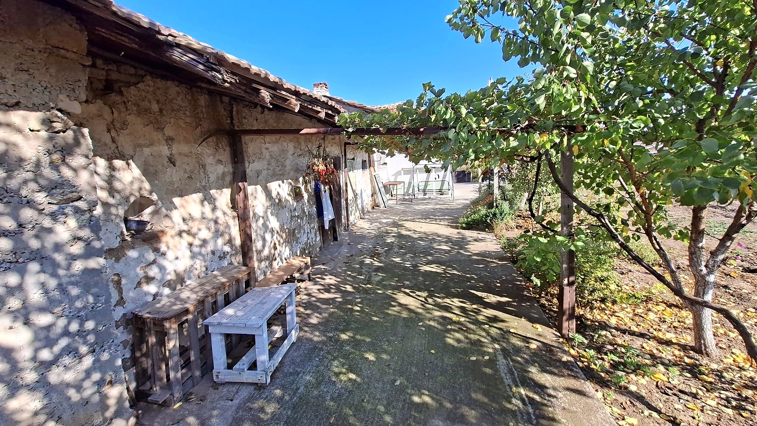 outside, garden