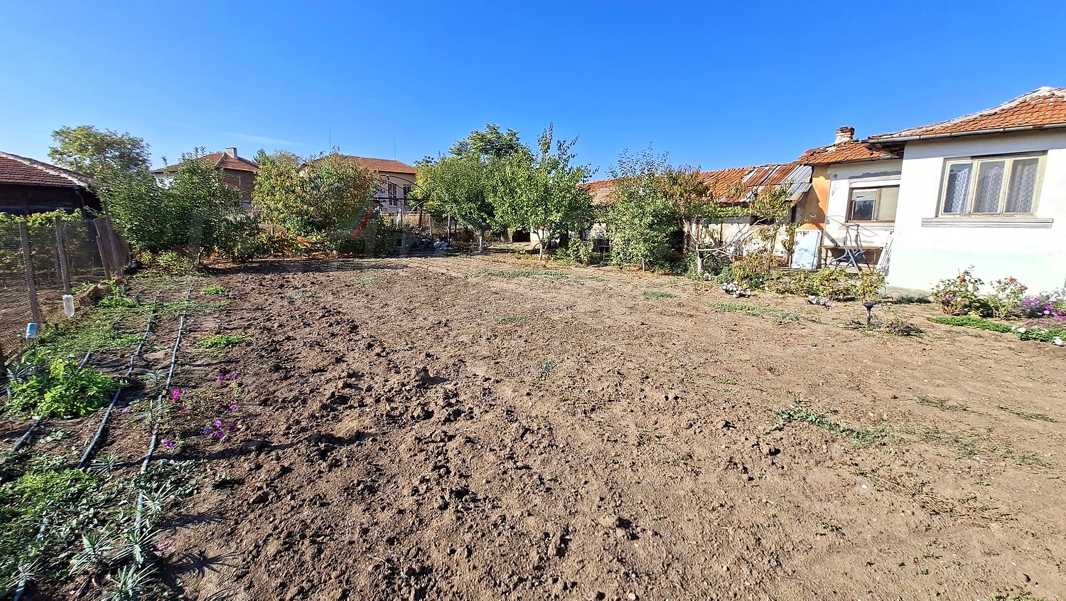 outside, garden
