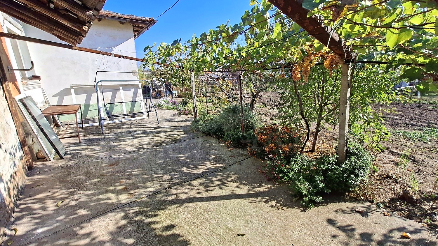outside, garden