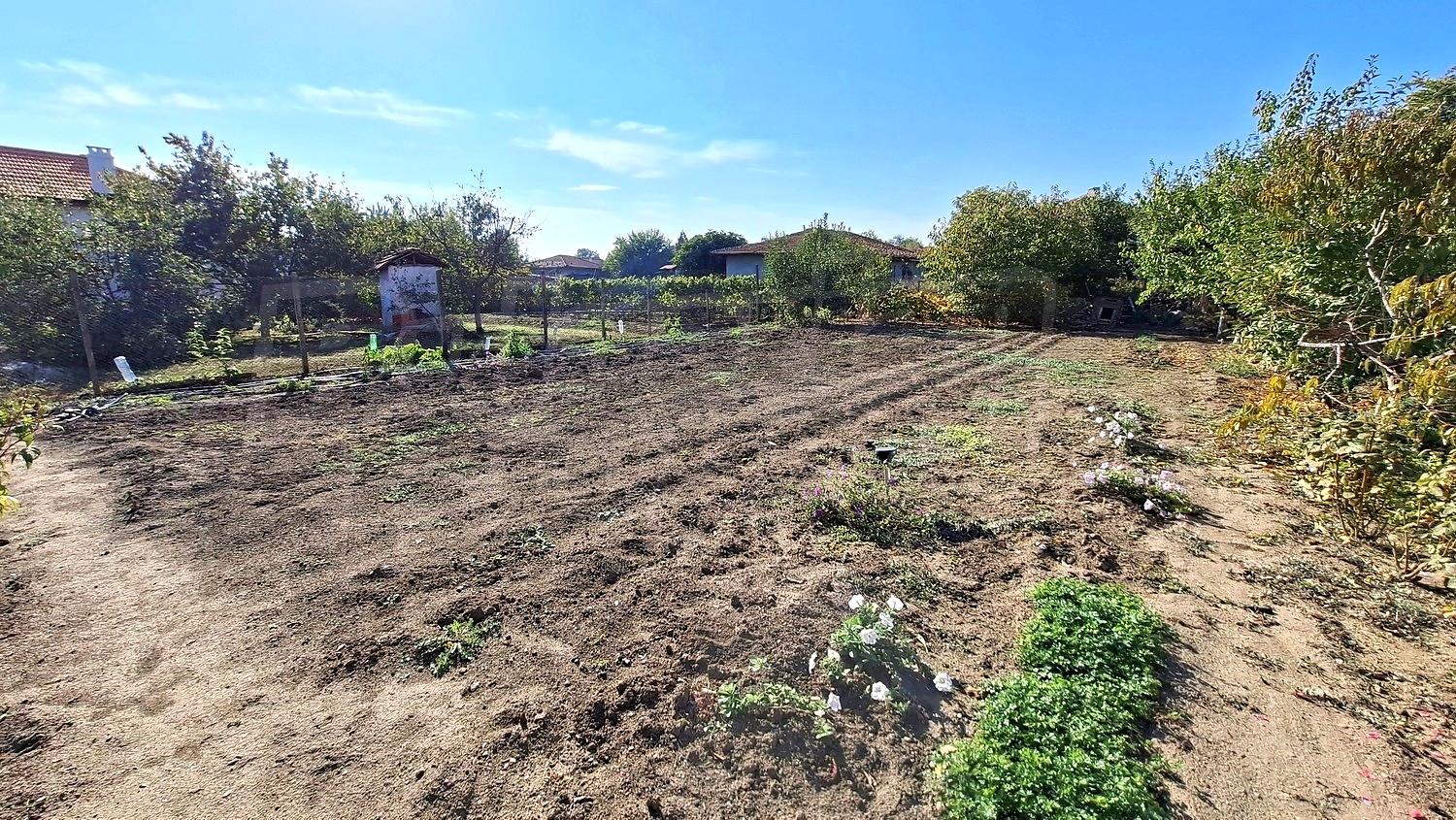 outside, garden, green area