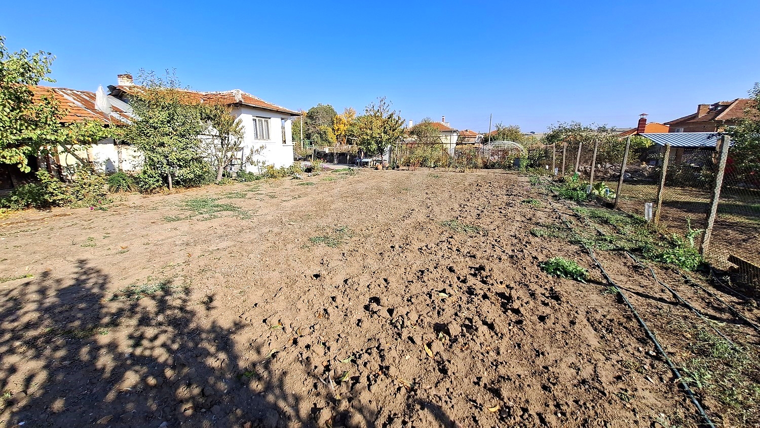 outside, garden